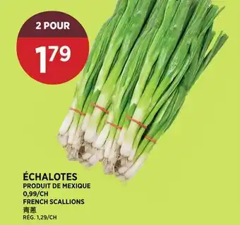 Kim Phat FRENCH SCALLIONS offer