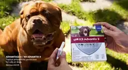 Mondou ADVANTAGE II/K9 ADVANTIX II Topical antiparasitic protection for cats or dogs offer
