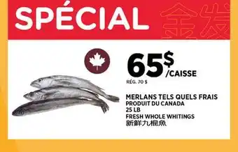 Kim Phat FRESH WHOLE WHITINGS offer