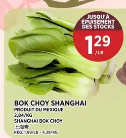 Kim Phat BOK CHOY SHANGHAI offer