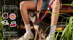 Mondou LE MEOW & WOOF CO Leash and collar with interchangeable charms offer
