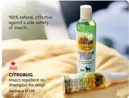 Mondou CITROBUG Insect repellent or shampoo for dogs offer
