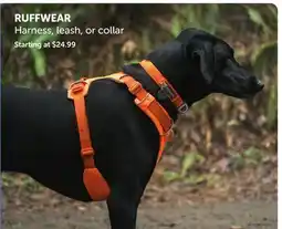 Mondou RUFFWEAR Harness, leash, or collar offer