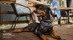 Mondou BEONEBREED Luxury rope harness offer