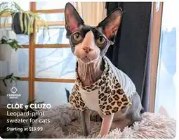 Mondou CLÖE e CLUZO Leopard-print sweater for cats offer