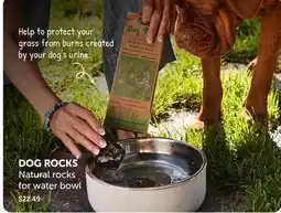 Mondou DOG ROCKS Natural rocks for water bowl offer