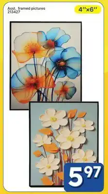 Rossy Asst. framed pictures offer