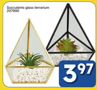 Rossy Succulents glass terrarium offer