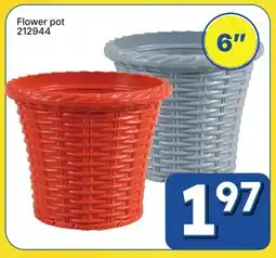 Rossy Flower pot offer