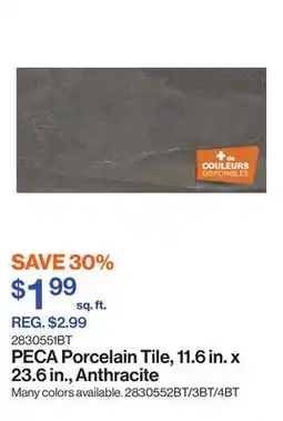 Patrick Morin PECA Porcelain Tile, 11.6 in. x 23.6 in., Anthracite offer
