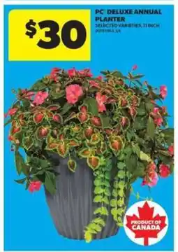 Real Canadian Superstore PC Deluxe Annual Planter offer