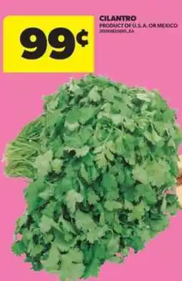 Real Canadian Superstore CILANTRO offer