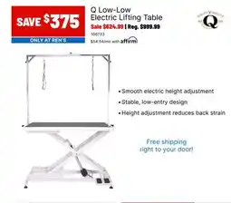 Ren’s Pets Depot Q Low-Low Electric Lifting Table offer