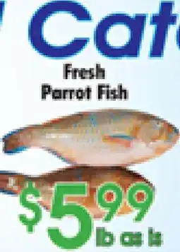 Danforth Food Market Fresh Parrot Fish offer