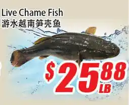 WinCo Food Mart Live Chame Fish offer