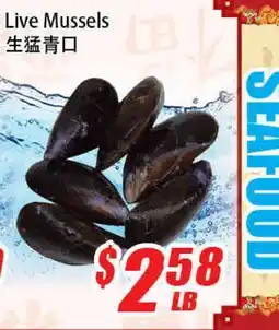 WinCo Food Mart Live Mussels offer