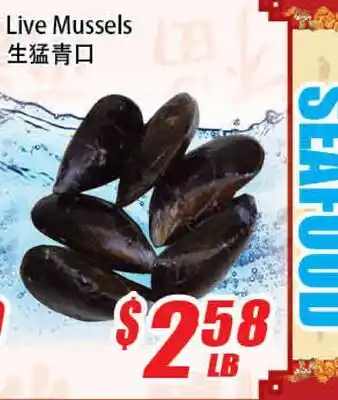 WinCo Food Mart Live Mussels offer