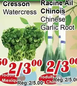 Marche C&T Cresson Watercress Racine Ail Chinois Chinese Garlic Root offer