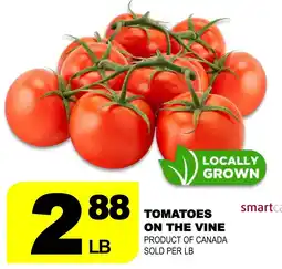 Shaganappi Mediterranean Market Tomatoes on the vine offer