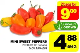 Shaganappi Mediterranean Market Mini sweet peppers offer
