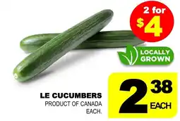 Shaganappi Mediterranean Market Le cucumbers offer
