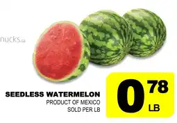 Shaganappi Mediterranean Market Seedless watermelon offer