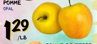 Marche Salaberry Pomme offer