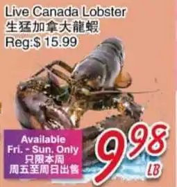 Foody Mart Live Canada Lobster offer