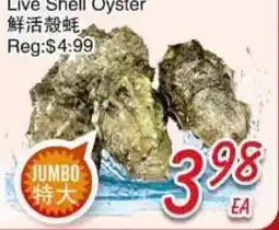Foody Mart Live Shell Oyster offer