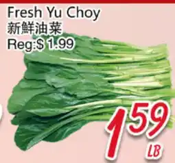 Foody Mart Fresh Yu Choy offer