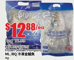 Btrust Supermarket ML/BEST QUALITY Frozen Golden Pompano offer