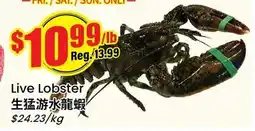 Btrust Supermarket Live Lobster offer