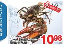 T&T Supermarket LOBSTER (LIVE. SINGLE CLAW) offer