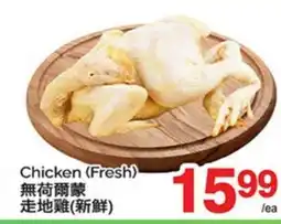 T&T Supermarket CHICKEN offer
