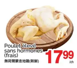 T&T Supermarket POULET ÉLEVÉ SANS HORMONES (FRAIS) offer