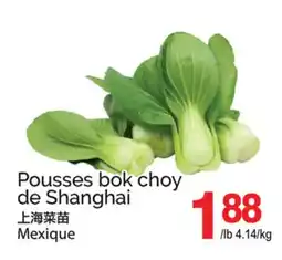 T&T Supermarket POUSSES BOK CHOY DE SHANGHAI offer
