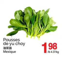 T&T Supermarket POUSSES DE YU CHOY offer