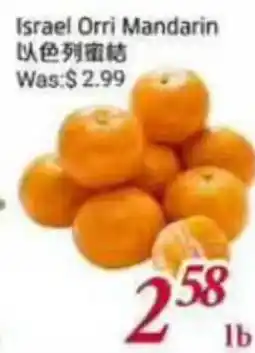 Tone Tai Supermarket Israel Orri Mandarin offer