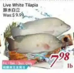 Tone Tai Supermarket Live White Tilapia offer