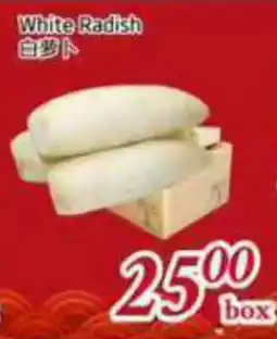 Tone Tai Supermarket White Radish offer