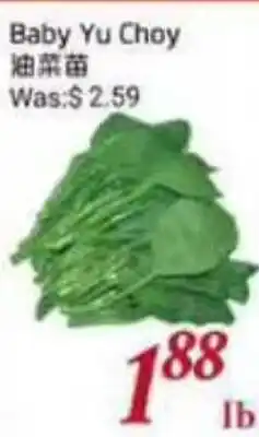 Tone Tai Supermarket Baby Yu Choy offer
