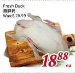Tone Tai Supermarket Fresh Duck offer