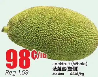 Terra Foodmart Jackfruit (Whole) offer