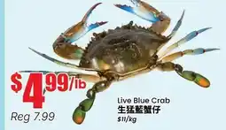 Terra Foodmart Live Blue Crab offer