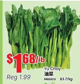 Terra Foodmart Yu Choy offer
