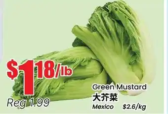 Terra Foodmart Green Mustard offer