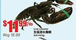 Terra Foodmart Live Lobster offer
