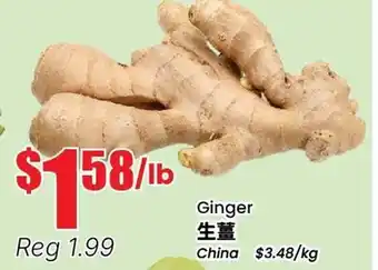 Terra Foodmart Ginger offer