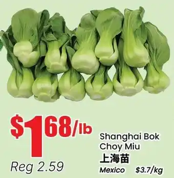 Terra Foodmart Shanghai Bok Choy Miu offer