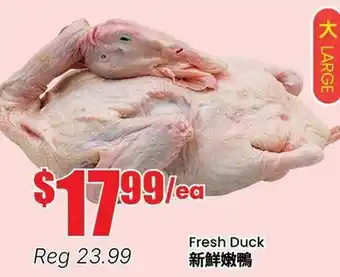 Terra Foodmart Fresh Duck offer